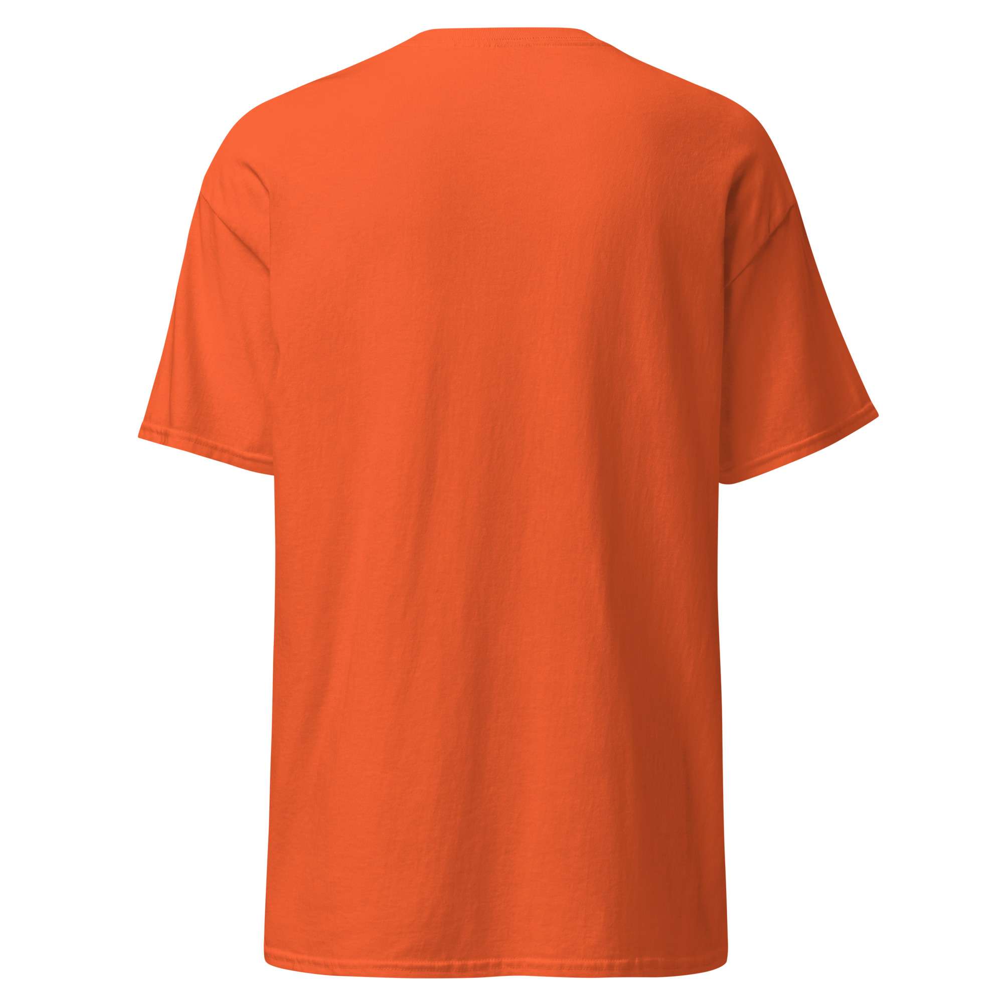  AHK Classic T shirt orange