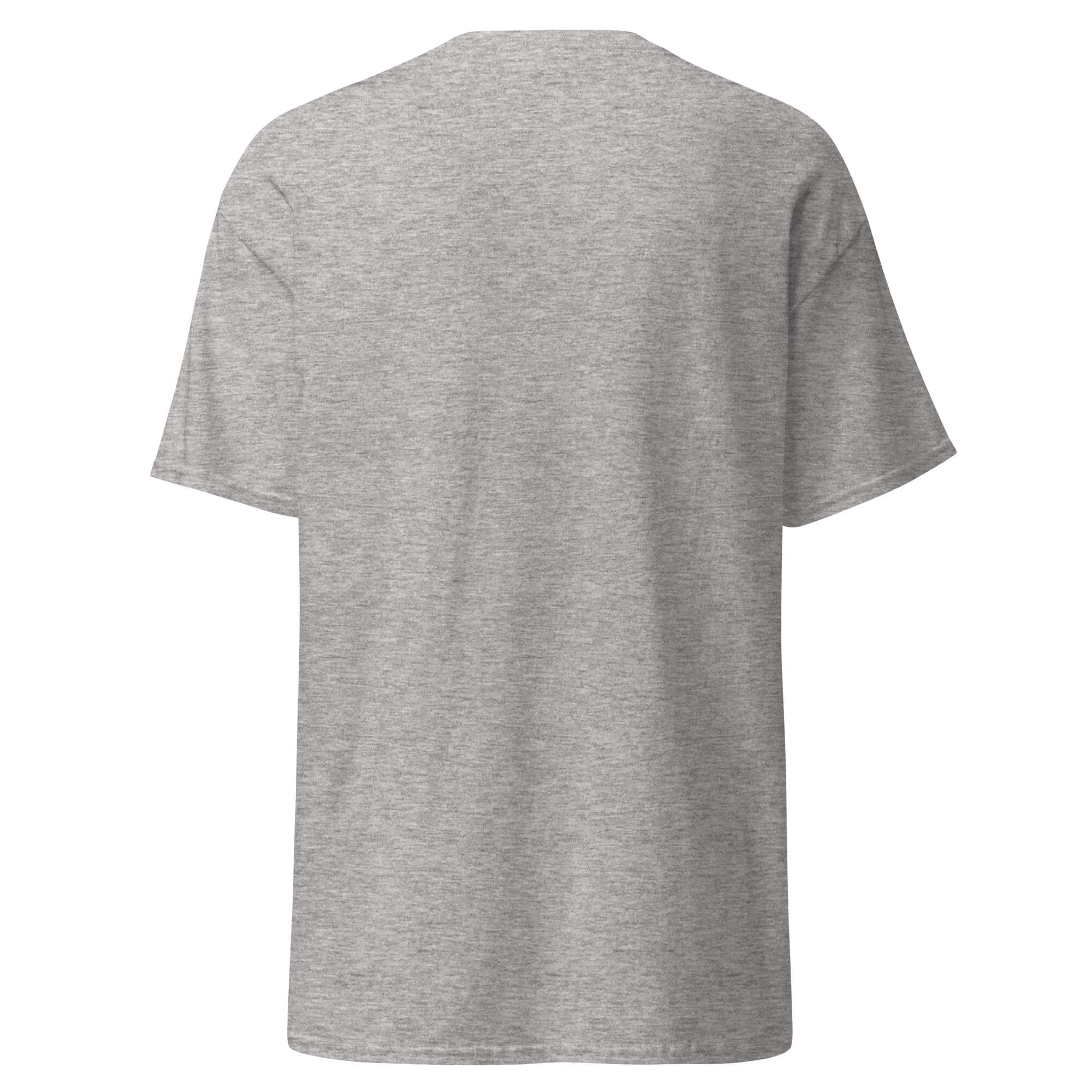  AHK Classic T shirt grey